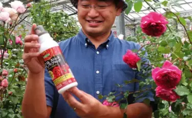 バラのスペシャリスト高木さんの“とにかく薔薇が好き！” 【後編】バラは楽しい。それがすべて