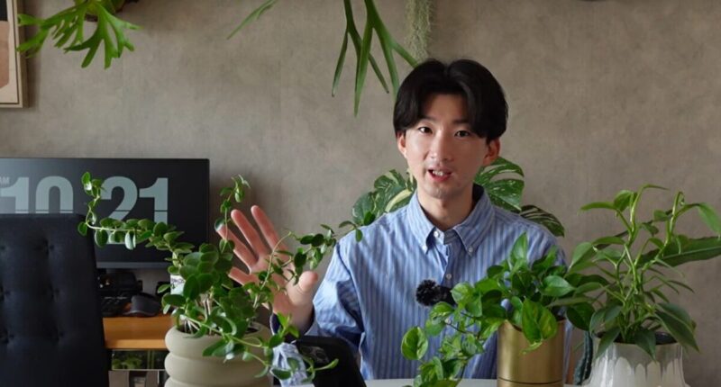 園芸インストラクターのかいさん 観葉植物の魅力をInstagramで発信中！  【後編】フォロワーの方とのつながりが教えてくれたこと