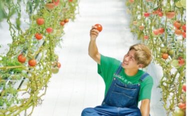 たわらファーム 川村雄祐さん SNSの総登録者数30万人以上。若手ならではの視点で農業を発信中【前編】祖父のもとで野菜づくりをスタートし、現在は地元の仲間たちと楽しみながら大規模農業を目指す日々