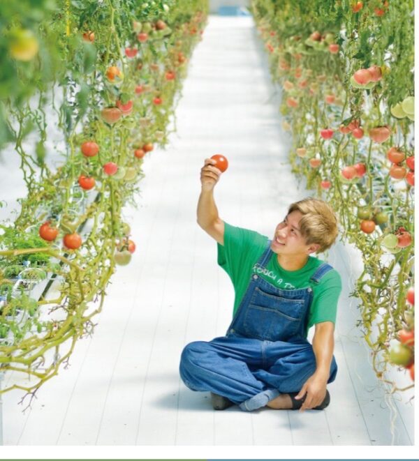 やっちゃんの園芸ライフ | 植物とあなたをつなぐPlantia