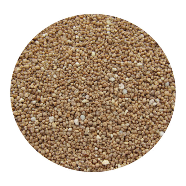 GT スーパーグリーン