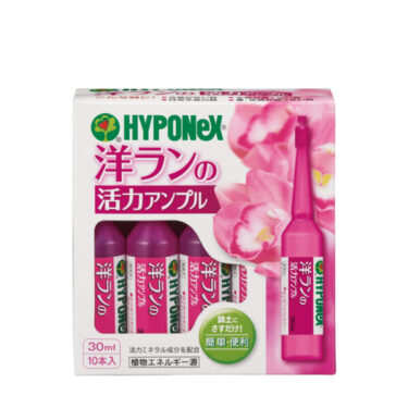 洋ランの活力アンプル