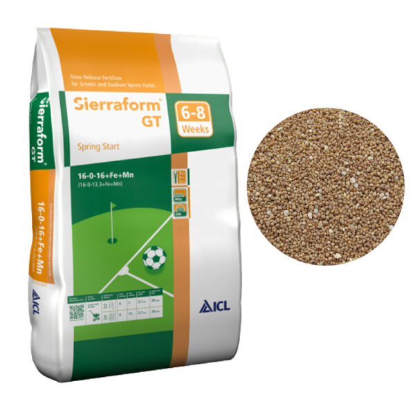 GT スーパーグリーン