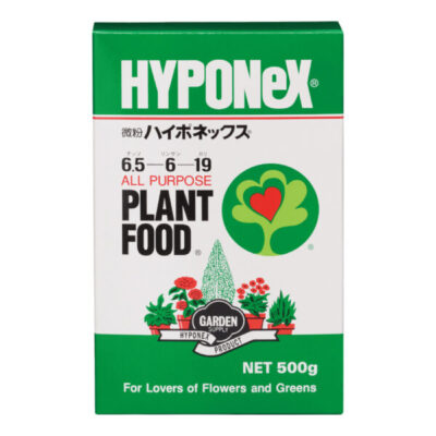 【観葉植物】 アジアンタムの育て方とは？｜水やりのコツとお手入れをご紹介