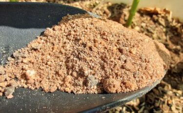 緩効性肥料とは｜仕組み・種類・使い方を初心者向けに解説