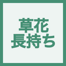 草花を長持ちさせたいのイメージアイコン