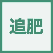 追肥のイメージアイコン