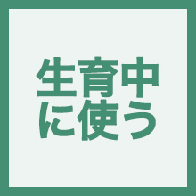 生育中に使うのイメージアイコン