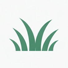 芝生のイメージアイコン