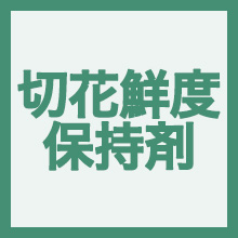 切り花栄養剤のイメージアイコン