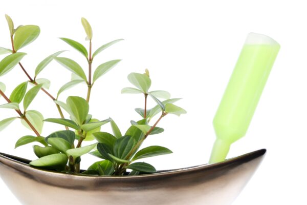 活力剤とは｜肥料との違いや正しい使い方をわかりやすく解説