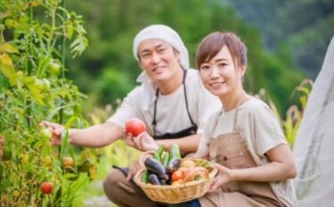 植物の育て方｜プランター・鉢植えの暑さ対策と弱った株の回復術