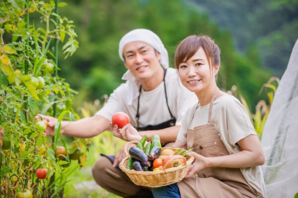 植物の育て方｜プランター・鉢植えの暑さ対策と弱った株の回復術