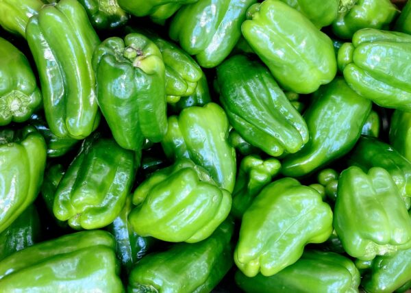 ピーマンの育て方｜肥料食い野菜の追肥タイミングと過多・不足の見分け方