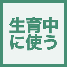 生育中に使うのイメージアイコン