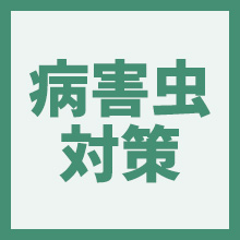 病害虫対策のイメージアイコン
