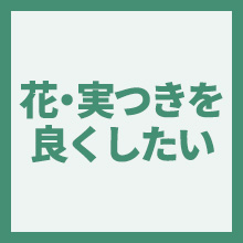 花・実つきを良くしたいのイメージアイコン