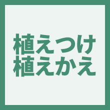 植えつけ・植えかえのイメージアイコン