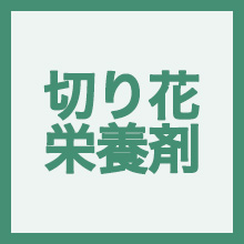 切り花栄養剤のイメージアイコン
