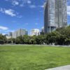 都市公園芝生広場 NO.001