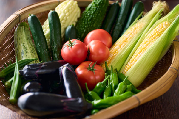 夏野菜の片付け方法｜終わりのサインと土を整える手順