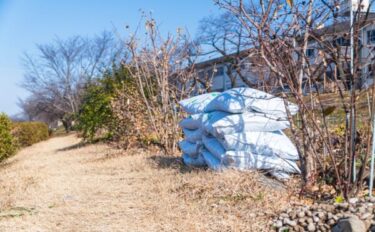 寒肥とは｜与える時期・肥料の種類・庭木への施し方