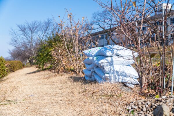 寒肥とは｜与える時期・肥料の種類・庭木への施し方