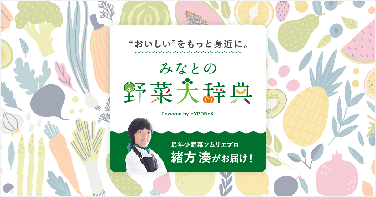 園芸新知識 はなとやさい 2007年～2020年 105冊セット まとめ売り 2024.1～【新連載】『園芸新知識はなとやさい』(タキイ種苗