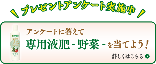 みなとの野菜大辞典 野菜ソムリエプロ緒方湊がお届けするお役立ち情報 みなとの野菜大辞典 野菜ソムリエプロ緒方湊がお届けするお役立ち情報