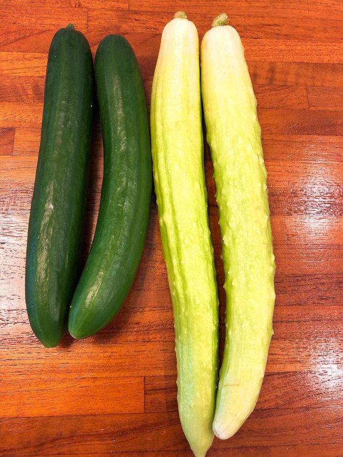 キュウリ みなとの野菜大辞典