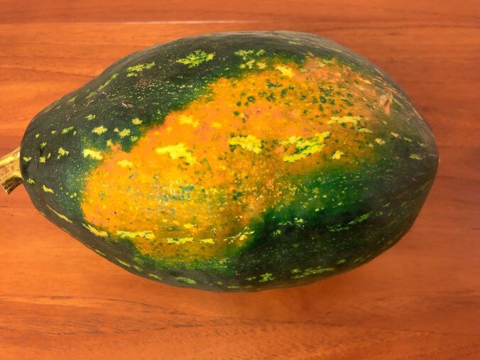 かぼちゃ みなとの野菜大辞典 かぼちゃ みなとの野菜大辞典