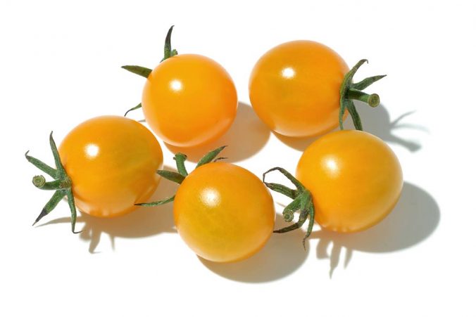 トマト みなとの野菜大辞典