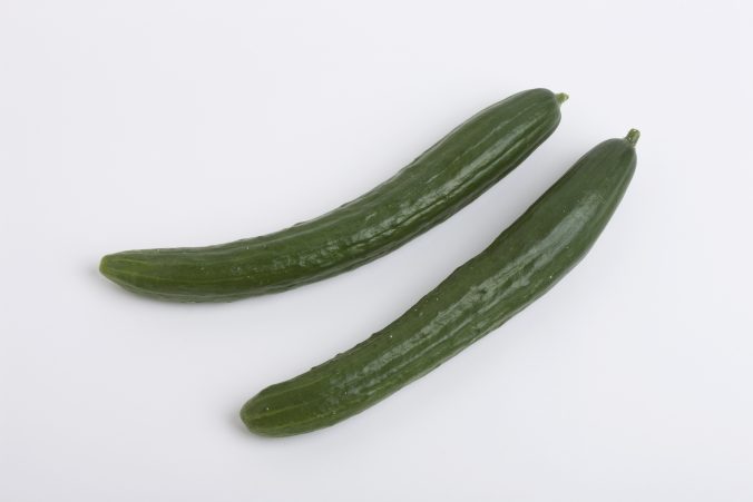 キュウリ みなとの野菜大辞典