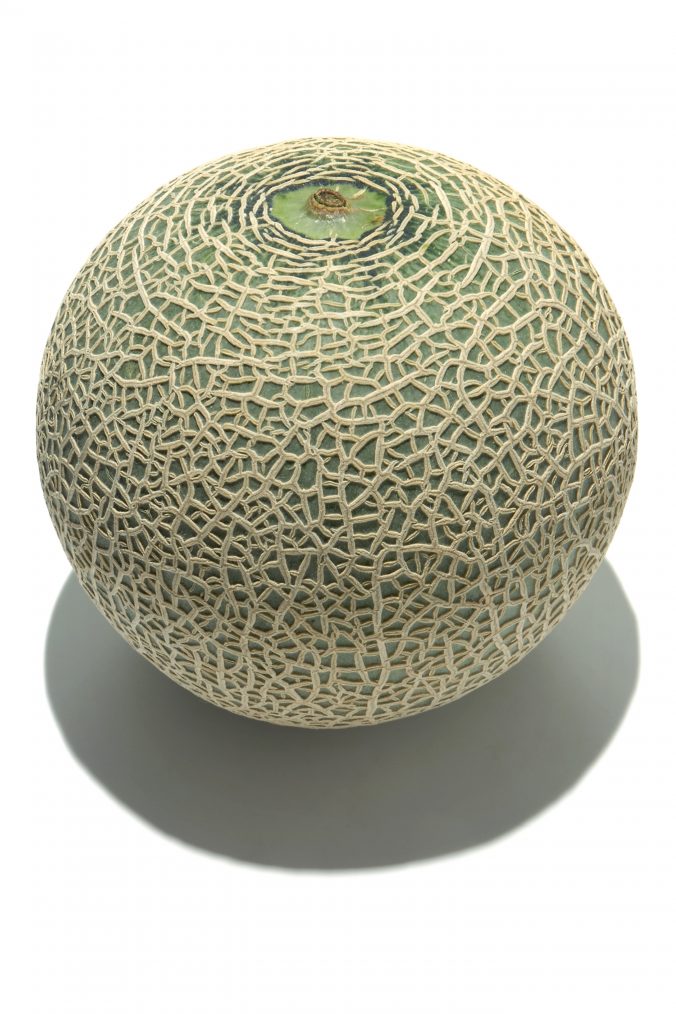 メロン みなとの野菜大辞典