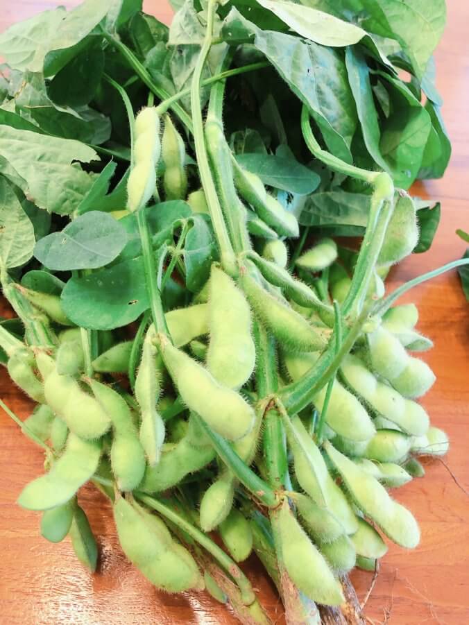 えだまめ みなとの野菜大辞典