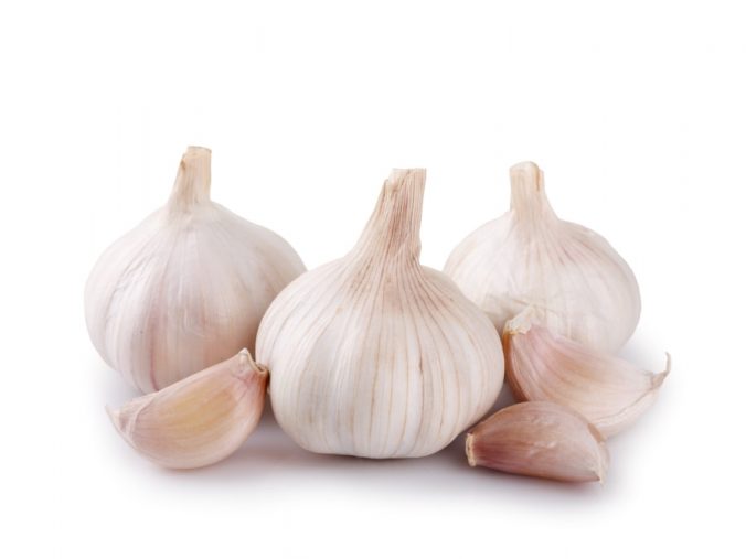 にんにく みなとの野菜大辞典 にんにく みなとの野菜大辞典