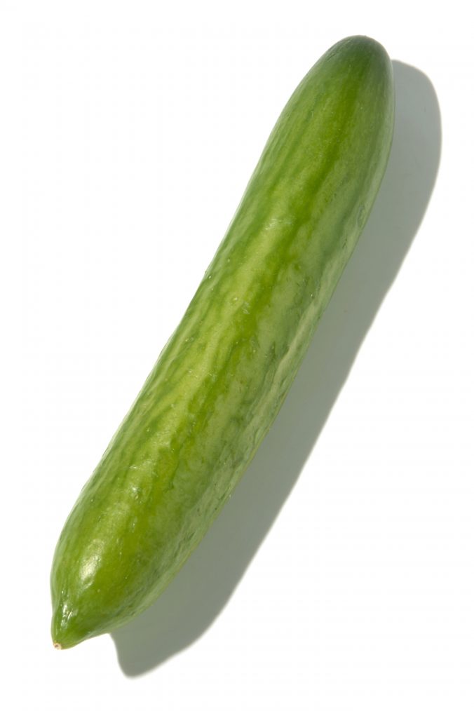 キュウリ みなとの野菜大辞典 キュウリ みなとの野菜大辞典