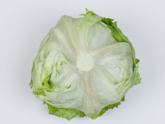 レタス みなとの野菜大辞典 レタス みなとの野菜大辞典