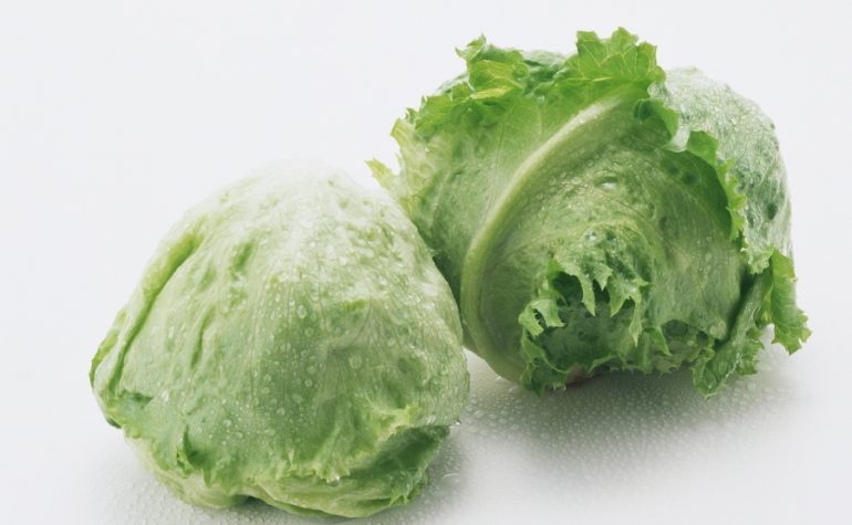 レタス みなとの野菜大辞典 レタス みなとの野菜大辞典