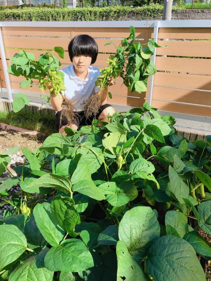 えだまめ みなとの野菜大辞典