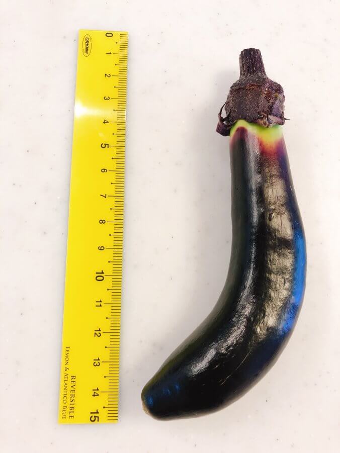 ナス みなとの野菜大辞典 ナス みなとの野菜大辞典
