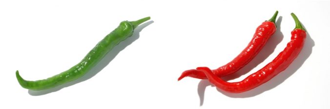 ししとう みなとの野菜大辞典