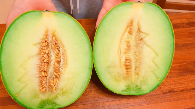 メロン みなとの野菜大辞典