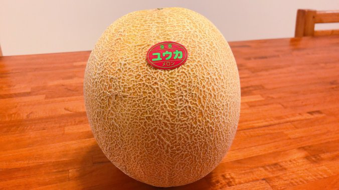 メロン みなとの野菜大辞典