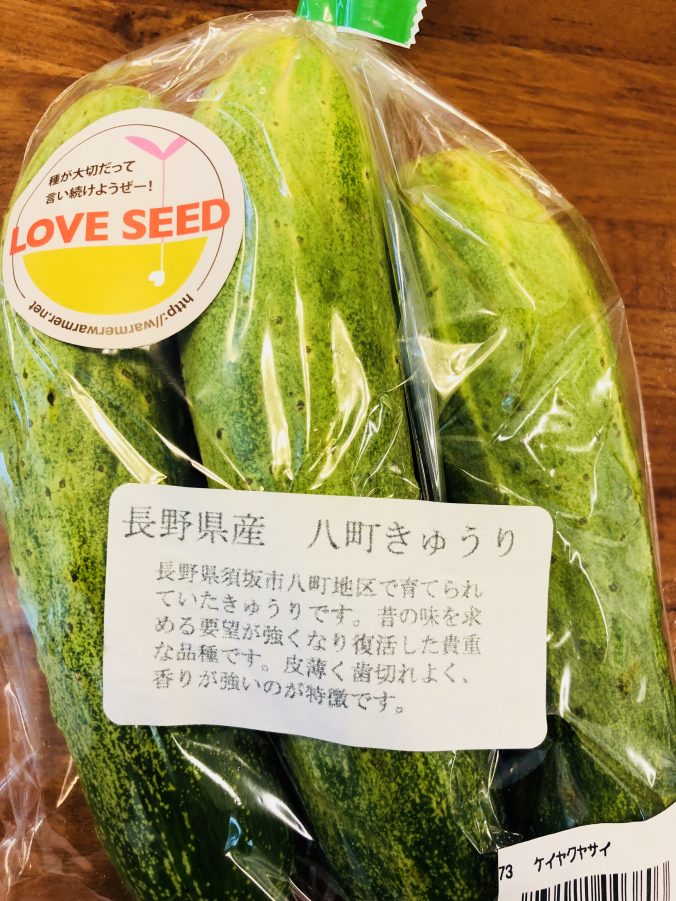 キュウリ みなとの野菜大辞典