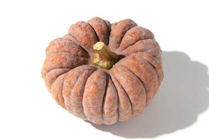 かぼちゃ みなとの野菜大辞典 かぼちゃ みなとの野菜大辞典