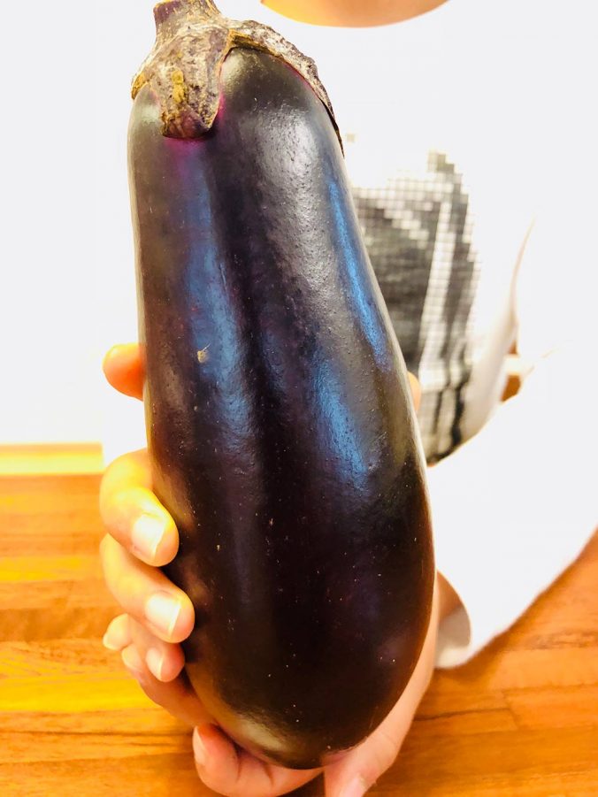 ナス みなとの野菜大辞典 ナス みなとの野菜大辞典