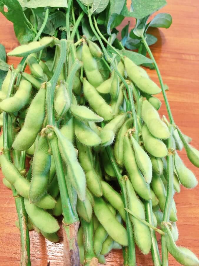 えだまめ みなとの野菜大辞典