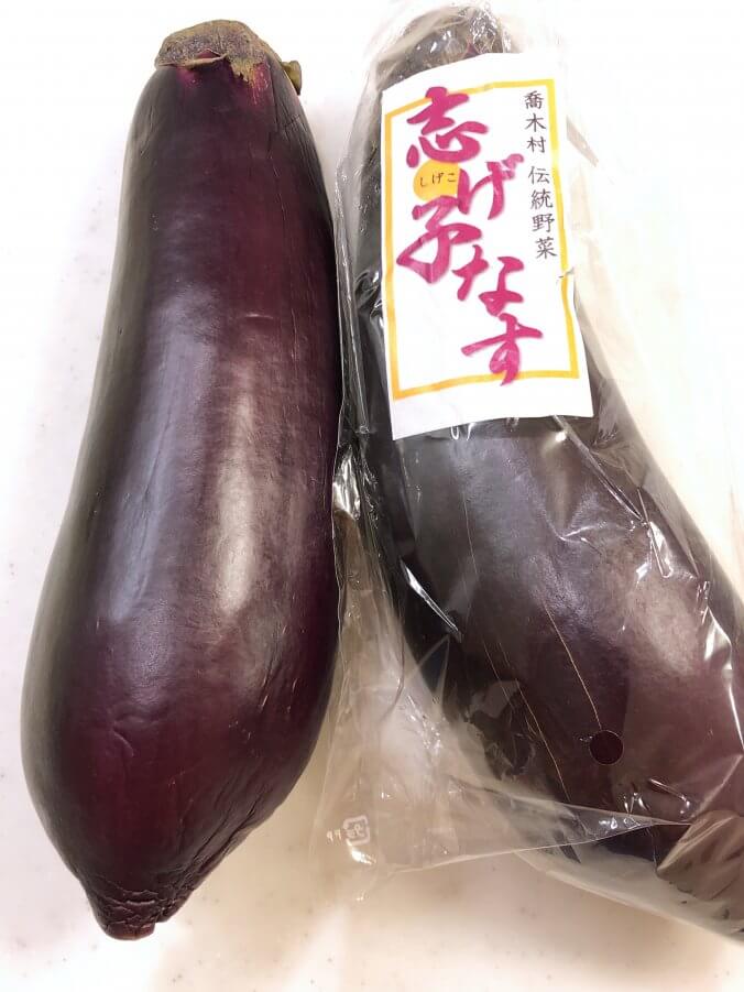 ナス みなとの野菜大辞典 ナス みなとの野菜大辞典