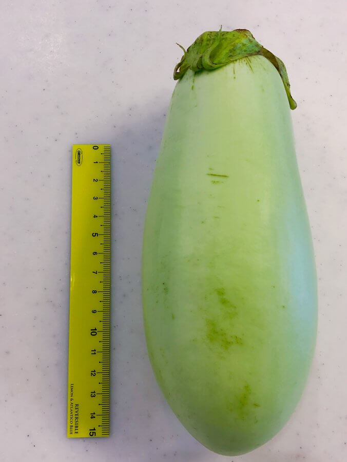 ナス みなとの野菜大辞典 ナス みなとの野菜大辞典